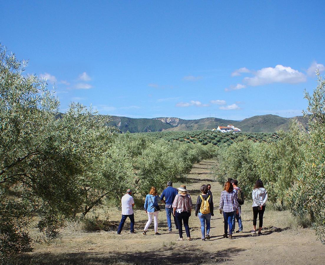 Cortijo Alzamigaja Villa Archidona Eksteriør billede