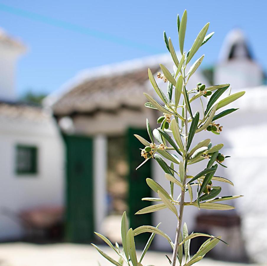 Cortijo Alzamigaja Villa Archidona Eksteriør billede