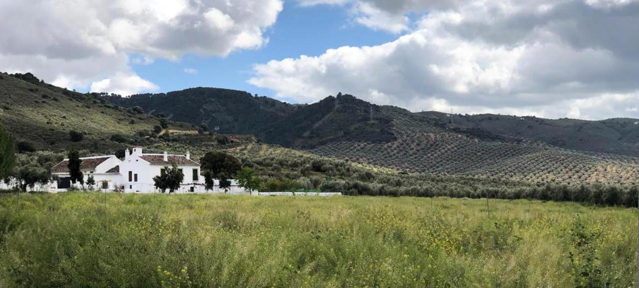 Cortijo Alzamigaja Villa Archidona Eksteriør billede